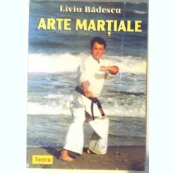 ARTE MARTIALE DE LIVIU BADESCU , 1998