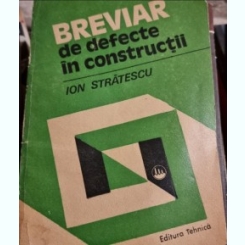 BREVIAR DE DEFECTE IN CONSTRUCTII - ION STRATESCU
