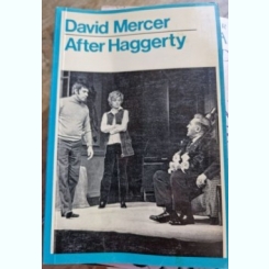 David Mercer - After Haggerty