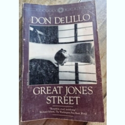 Don DeLillo - Great Jones Street