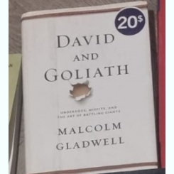 Malcolm Gladwell - David and Goliath:Underdogs, Misfits, and the Art of Battling Giants