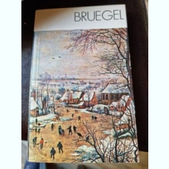 Michal Walicki - Bruegel. Album