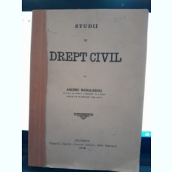 Studii de Drept Civil - Andrei Radulescu