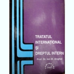 Tratat international si dreptul intern - Ion M. Anghel