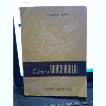 Cultura Borceagului,C. Galan E. Kellner