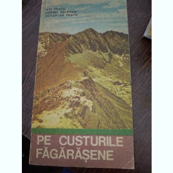 PE CUSTURILE FAGARASENE -  ILIE FRATU
