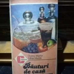 Dorina Martin, Mihai Martin - Bauturi de casa din fructe si legume