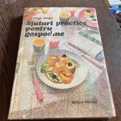 Draga Neagu - Sfaturi practice pentru gospodine
