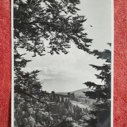 Carte postala, Prtedeal spre Cioplea, 1938