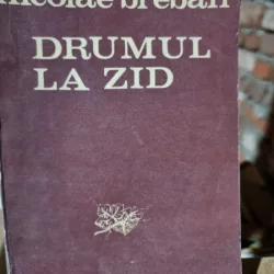 Nicolae Breban - Drumul la zid