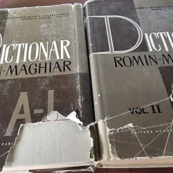 Dictionar Roman-Maghiar Vol. I si II