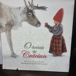 O dorinta de craciun - Lori Evert