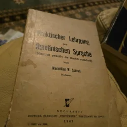 Praktischer Lehrgang der Rumänischen Sprache - Maximilian W. Schroff
