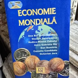 Economie mondiala - Ana Bal