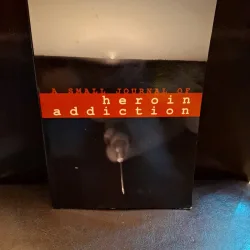 A Small Journal of Heroin Addiction - Robin Marchesi