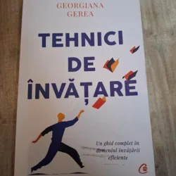 Tehnici de invatare - Georgiana Gerea
