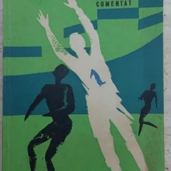 Regulamentul jocului de fotbal comentat - George N. Gherghe
