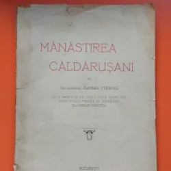 Manastirea Caldarusani - Damian Stanoiu