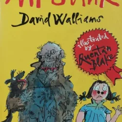 Mr. Stink - David Walliams