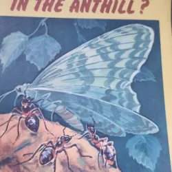 Who lives in the anthill? - Alexander Tambiyev
