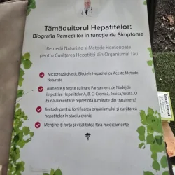 Tamaduitorul hepatitelor. Biografia remediilor in functie de simptome - Lupu Maria Magdalena