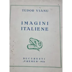 Tudor Vianu - Imagini italiene