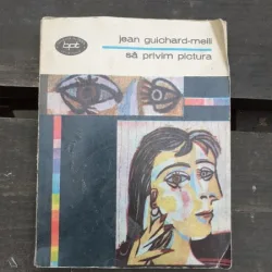 SA PRIVIM PICTURA - JEAN GUICHARD MEILI