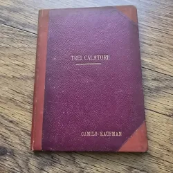 Trei calatorii - Camilo Kaufman