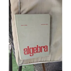 Algebra - Ion D. Ion, Nicolae Radu