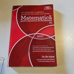 Matematica pentru examenul de bacalaureat M1 2017 - Marian Andronache