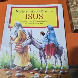 Nasterea si copilaria lui Isus - Cristian Badilita