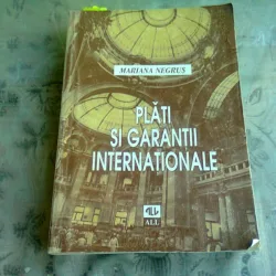 PLATI SI GARANTII INTERNATIONALE - MARIANA NEGRUS