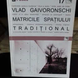 MATRICILE SPATIULUI TRADITIONAL - VLAD GAIVORONSCHI