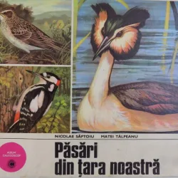 PASARI DIN TARA NOASTRA , TEXT DE MATEI TALPEANU , GRAFICA DE NICOLAE SAFTOIU , 1978
