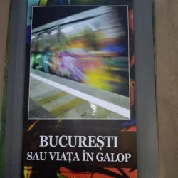 Bucuresti sau viata in galop - Su Mynona