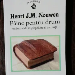 PAINE PENTRU DRUM - HENRI .M. NOUWEN