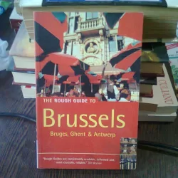 THE ROUGH GUIDE TO BRUSSELS - MARTIN DUNFORD