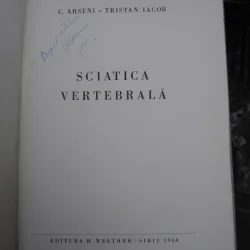 SCIATICA VERTEBRALA - C. ARSENI