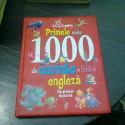 PRIMELE MELE 100 DE CUVINTE IN LIMBA ENGLEZA, DICTIONAR ILUSTRAT