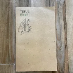 Tibul - Elegii