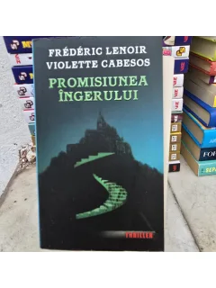 Frederic Lenoir, Violette Cabesos - Promisiunea ingerului