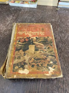 Liliana Podoleanu, Thea Luca - Carte de bucate