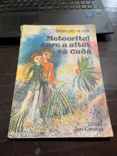 Dumitru Ion - Meteoritul care a uitat sa cada