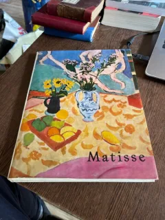 Neagu Radulescu - Matisse