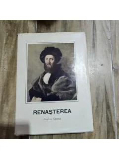 Andrei Otetea - Renasterea