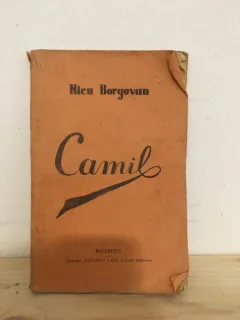 Nicu Borgovan -Camil