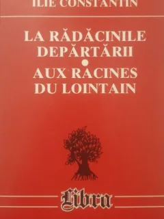 Ilie Constantin - La radacinile departarii / Aux racines du lointain