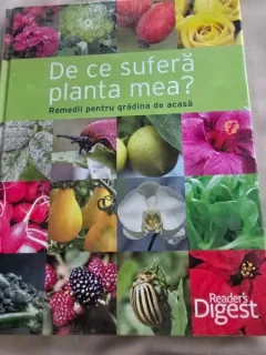 De ce sufera planta mea? Remedii pentru gradina de acasa
