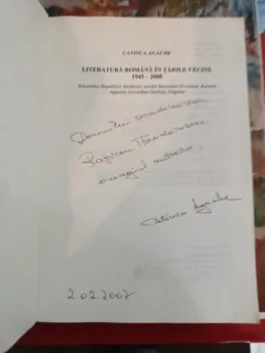 Catinca Agache - Literatura Romana In Tarile Vecine 1945-2000