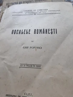 Iosif Popovici, Vocale romanesti